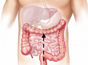 massaggio intestino 1